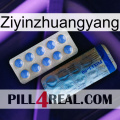 Ziyinzhuangyang 40